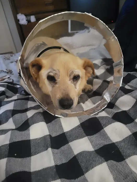Animal Eye Center 3