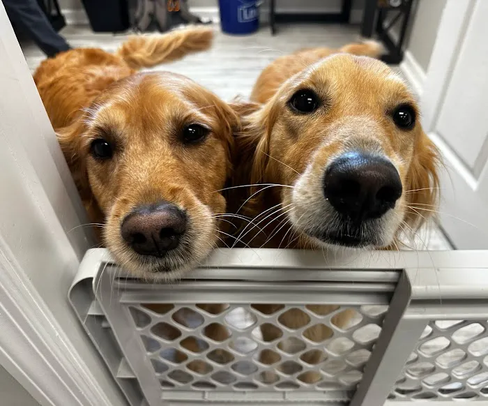 South Huntsville Veterinary Hospital 12