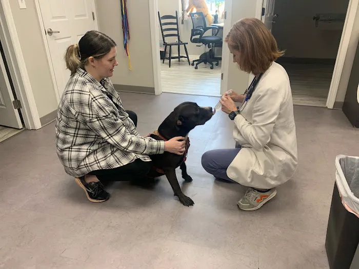 South Huntsville Veterinary Hospital 12