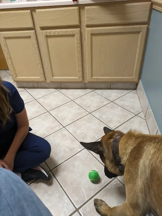 Deep Creek Veterinary Hospital 1