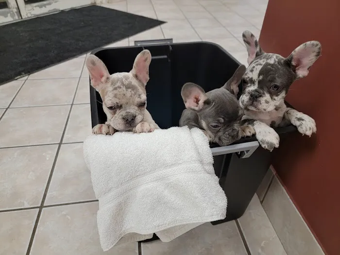 Deep Creek Veterinary Hospital 7