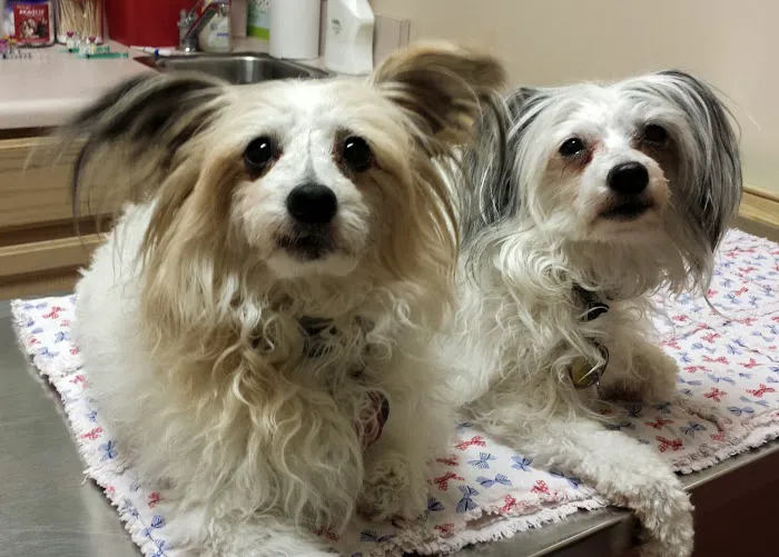 Deep Creek Veterinary Hospital 8