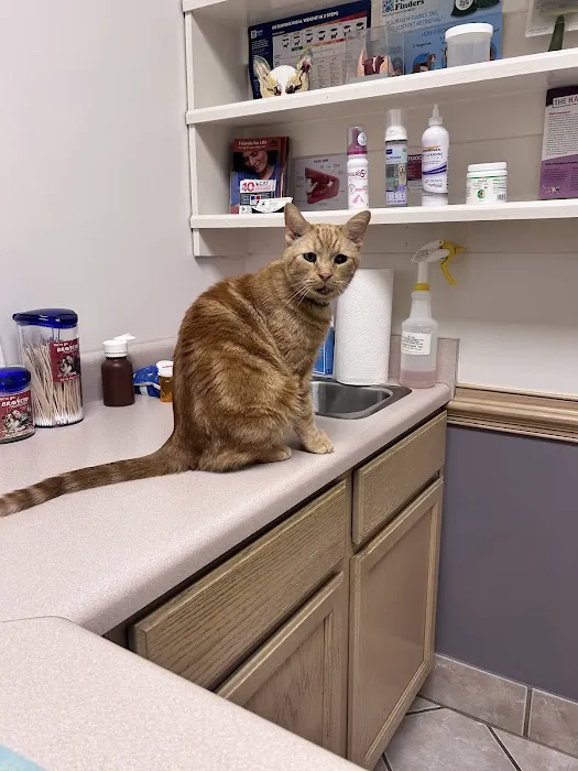 Deep Creek Veterinary Hospital 9