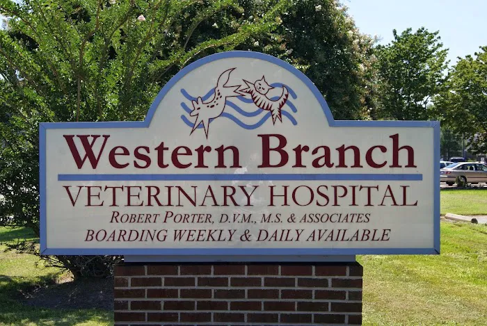 Western Branch Veterinary Hospital 3