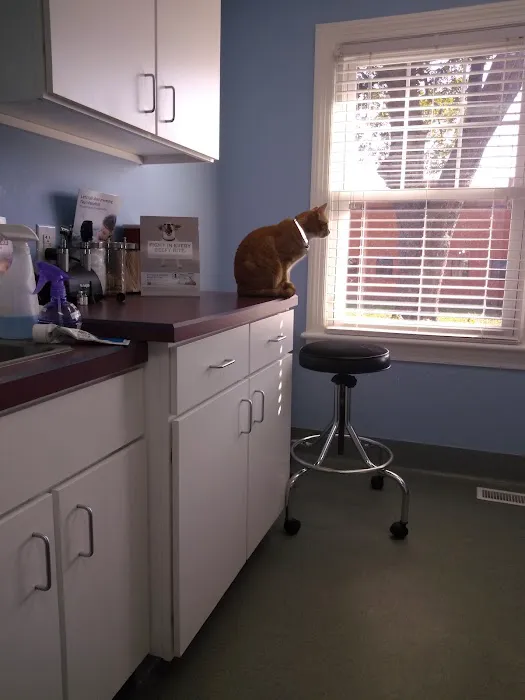 Western Branch Veterinary Hospital 8