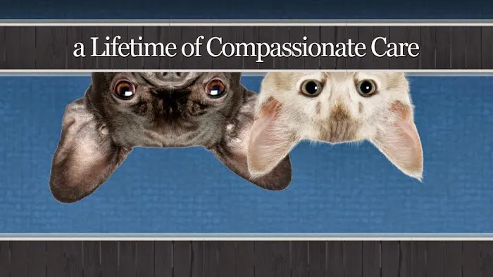 Western Branch Veterinary Hospital 9