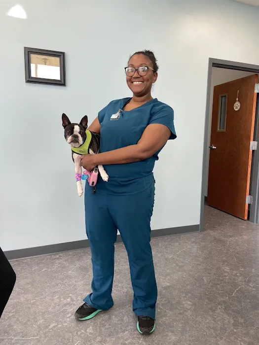 MyVet 8