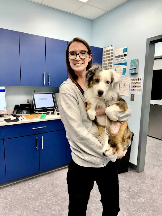 MyVet 9