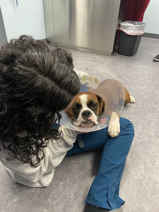 MyVet 10