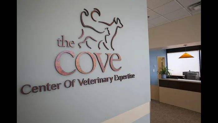 The COVE - Center of Veterinary Expertise 12