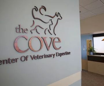 The COVE - Center of Veterinary Expertise