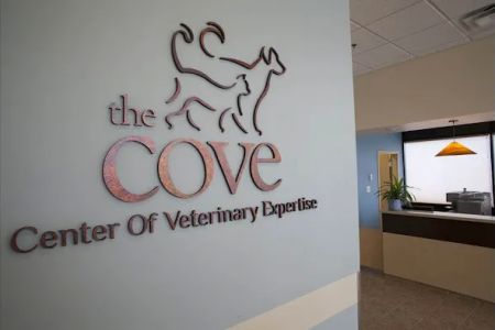 The COVE - Center of Veterinary Expertise