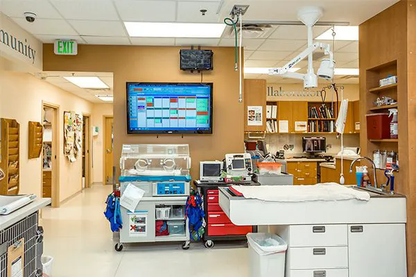 The COVE - Center of Veterinary Expertise 12