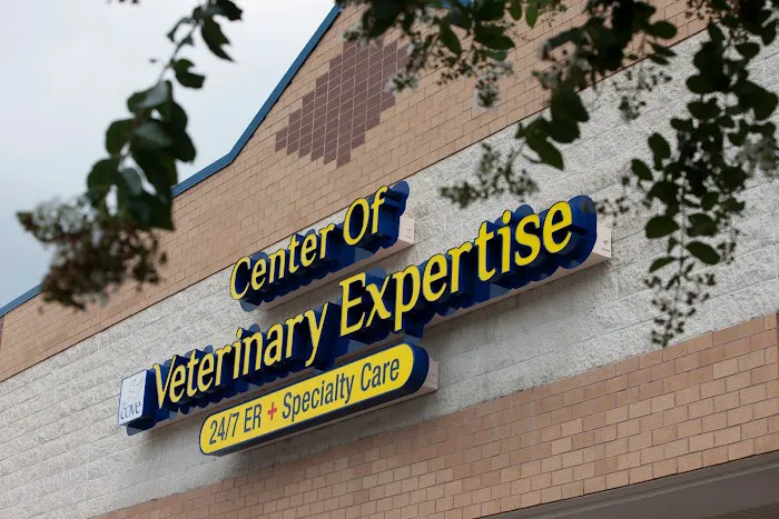The COVE - Center of Veterinary Expertise 12