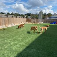 Hope Springs Veterinary at Great Bridge ico