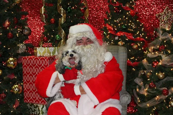 Hope Springs Veterinary at Great Bridge 5