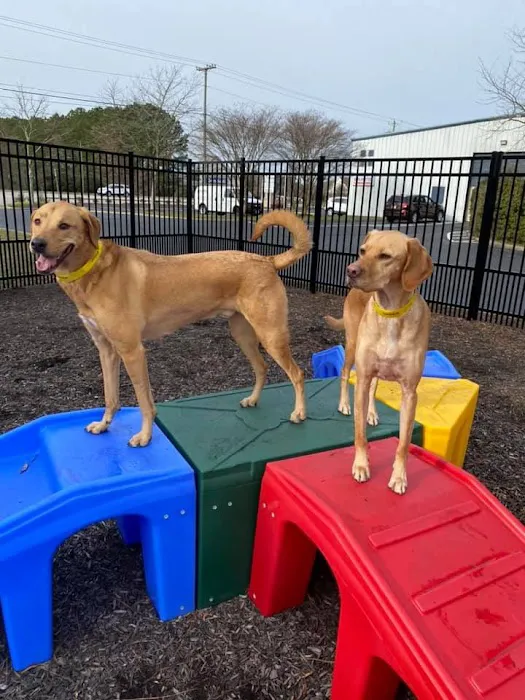 Hope Springs Veterinary at Great Bridge 9