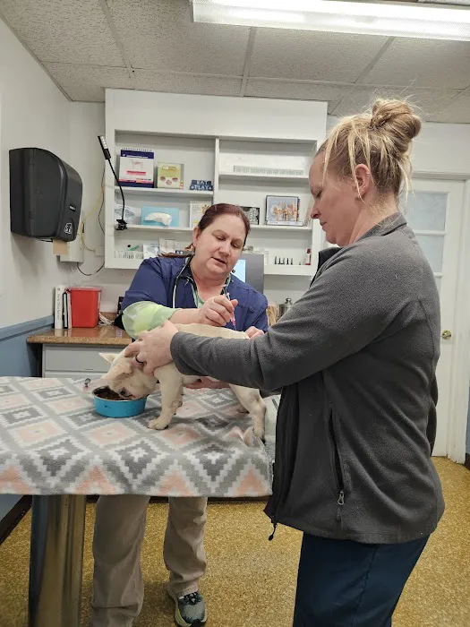 Acredale Animal Hospital 1