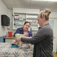 Acredale Animal Hospital ico