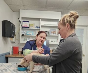 Acredale Animal Hospital