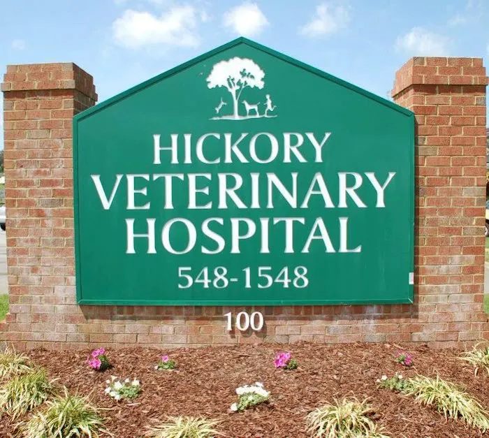 Hickory Veterinary Hospital 1