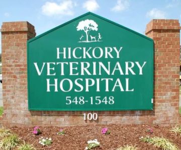 Hickory Veterinary Hospital