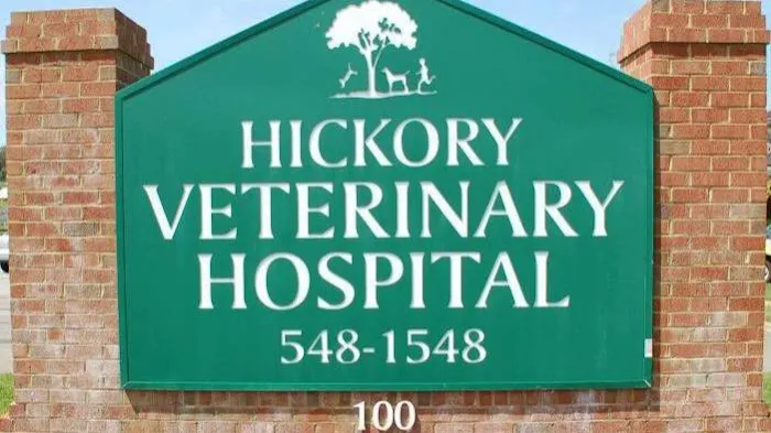 Hickory Veterinary Hospital 2