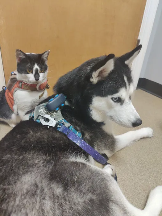 Hickory Veterinary Hospital 6