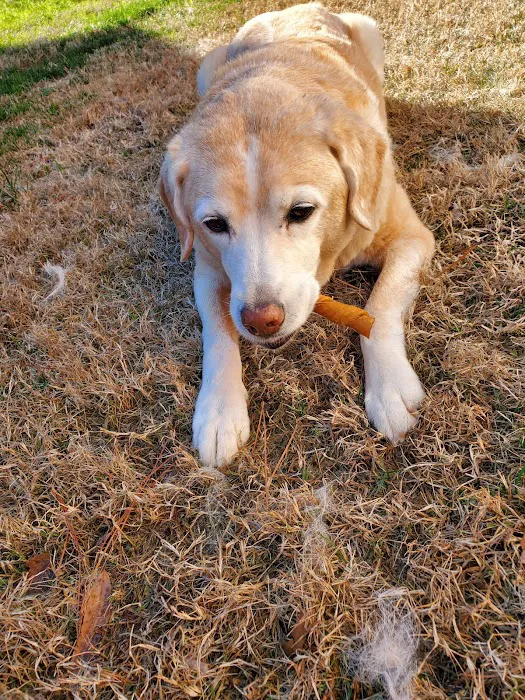 Hickory Veterinary Hospital 9