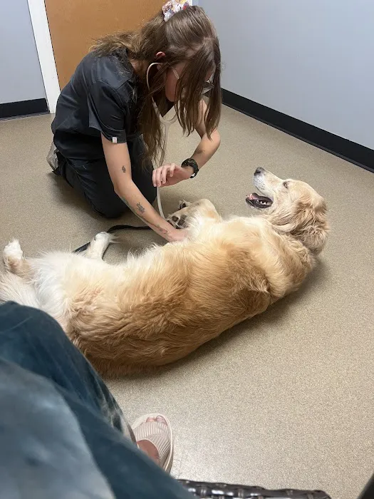 Hickory Veterinary Hospital 10