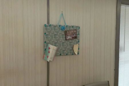 Oporto Animal Clinic