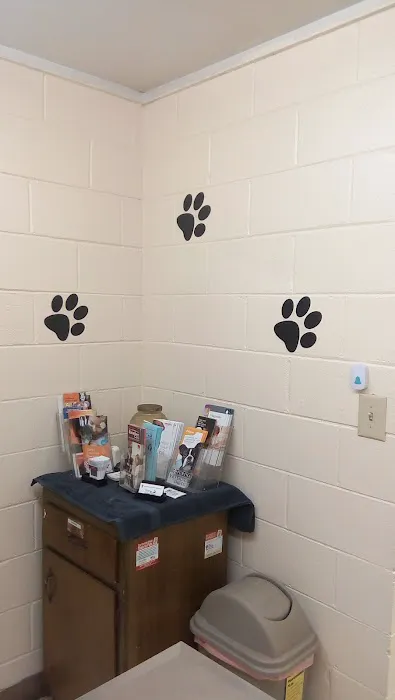 Oporto Animal Clinic 12