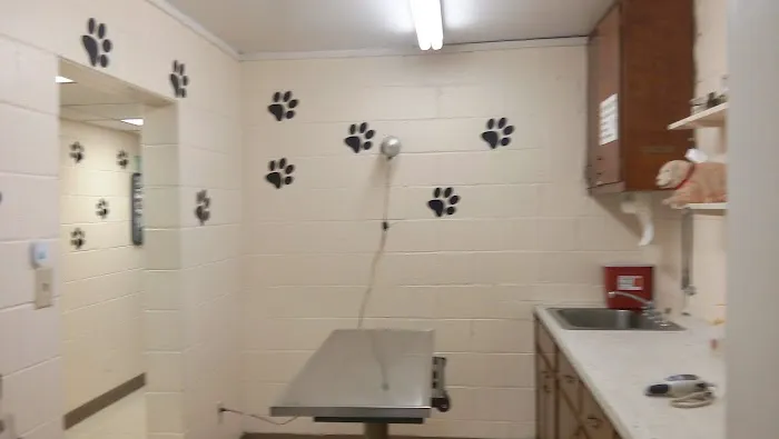 Oporto Animal Clinic 12