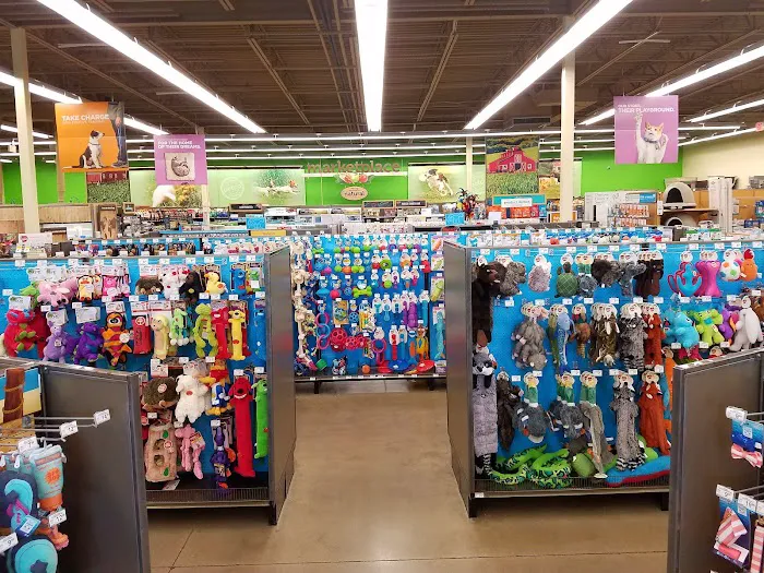 Petco 12