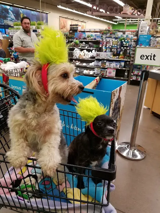 Petco 12
