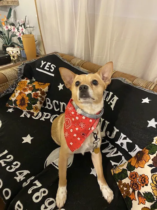 Petco 12