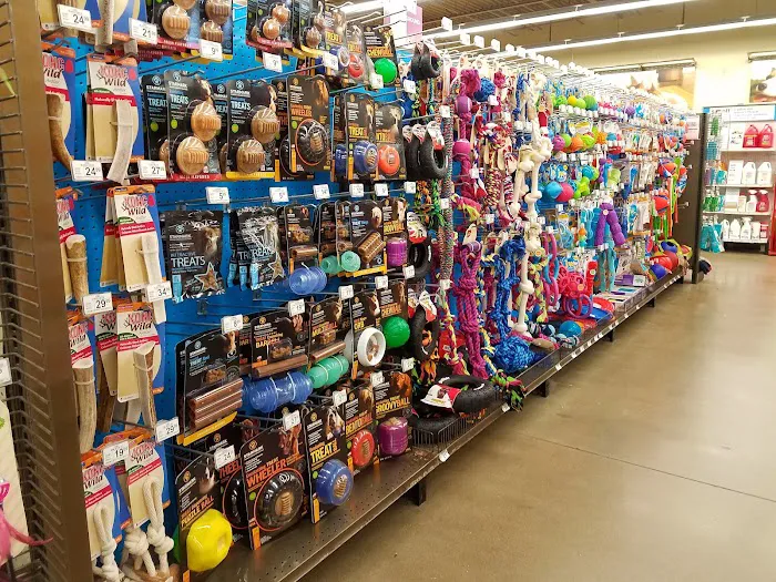 Petco 12