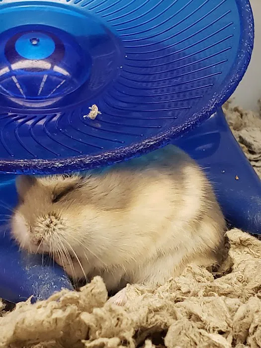 Petco 12