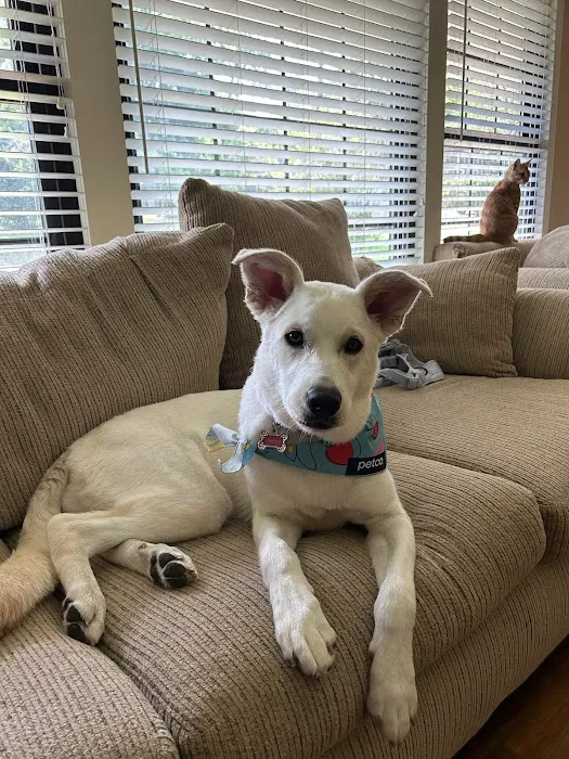 Petco 12