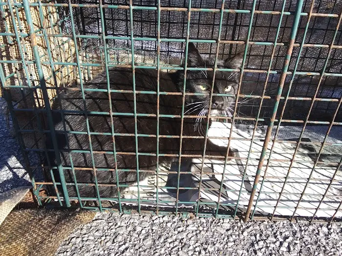 Alabama Spay Neuter Clinic Inc 12