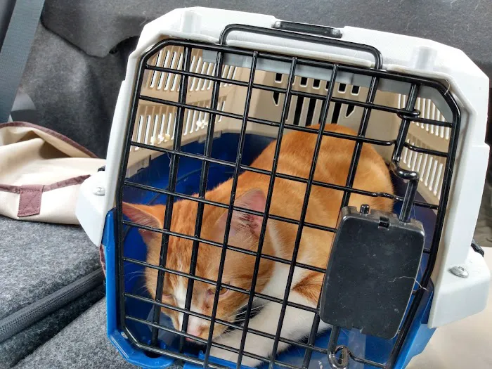 Alabama Spay Neuter Clinic Inc 12