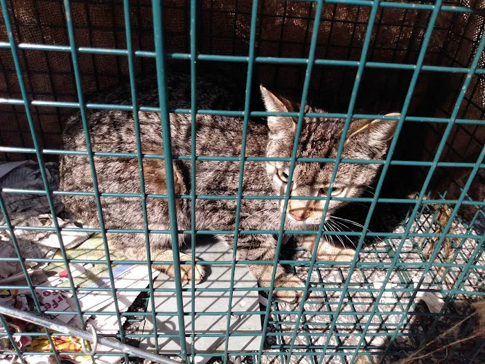 Alabama Spay Neuter Clinic Inc 12