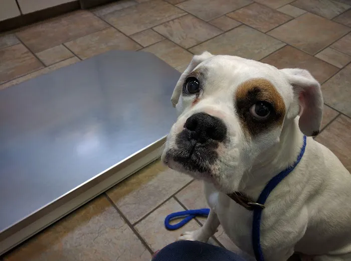 Gregg Animal Hospital 12