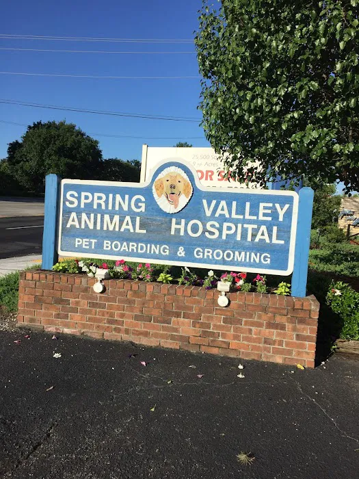 Spring Valley Animal Hospital LLC 12