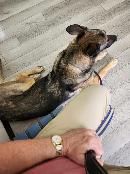 Spring Valley Animal Hospital LLC 12