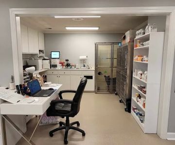 Northeast Animal Clinic