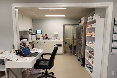 Northeast Animal Clinic