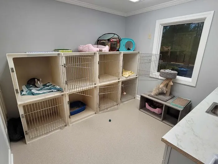 Northeast Animal Clinic 12