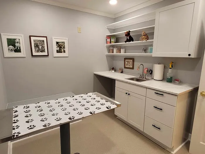 Northeast Animal Clinic 12