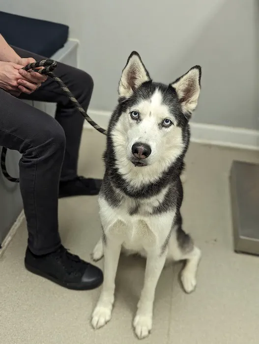 Northeast Animal Clinic 12